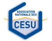 Logo Ancesu